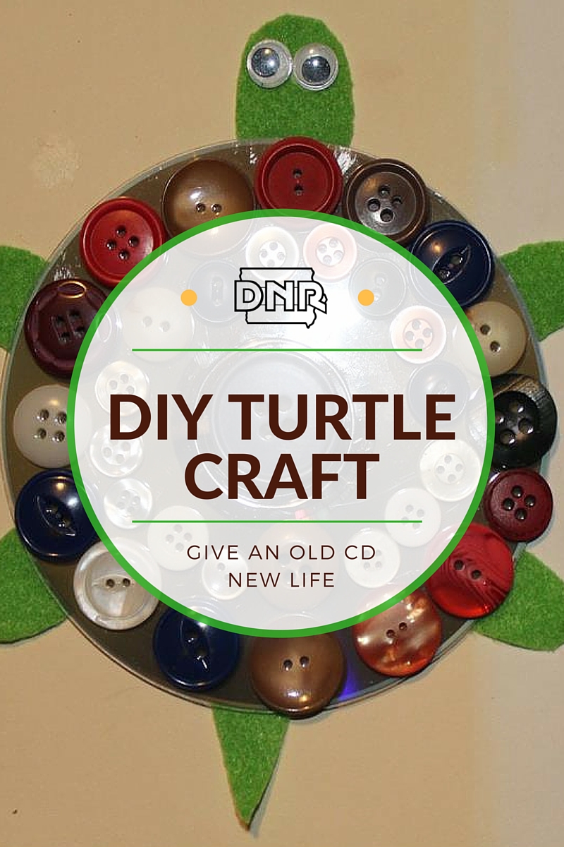 Salvage an old CD and have your kids make this DIY turtle craft | Iowa DNR
